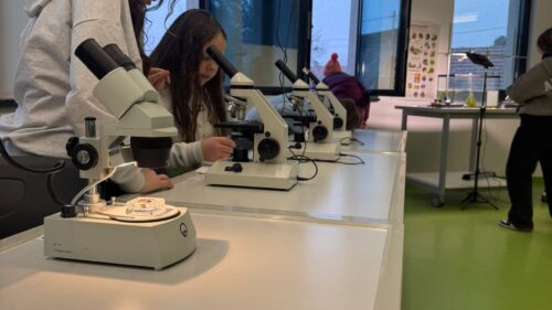 Tag der offenen Tür an der GMS Bergatreute – ein voller Erfolg